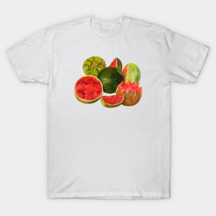 twinkling watermelon T-Shirt